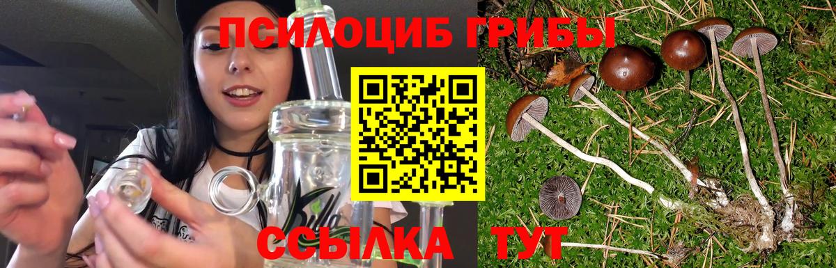 Тихорецк  Галлюциногенные грибы мицелий  наркошоп  Вход с VPN 