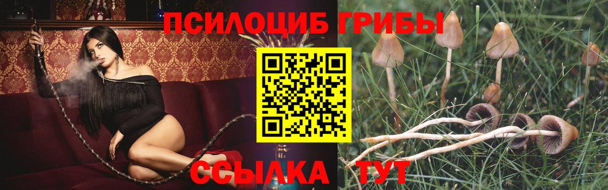 Псилоцибиновые грибы мухоморы Тихорецк